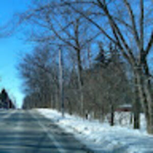 lancewaterston avatar