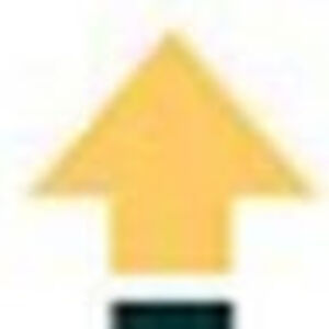 ambergrady-fuller avatar