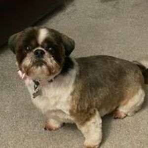 georgia_cook2 avatar