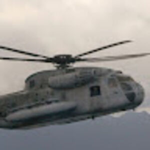 williammoreno avatar