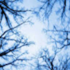 robinwinterberg avatar