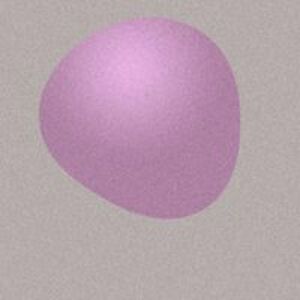 kerechanyn555 avatar