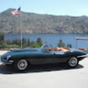 jerrylisewych avatar