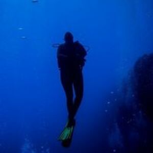 auntienoonoo1 avatar