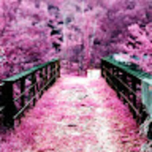 michiganfresh0013 avatar