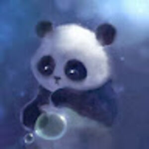 stolasmedrano avatar