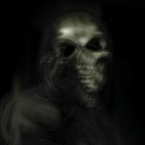 gvasilios2000 avatar