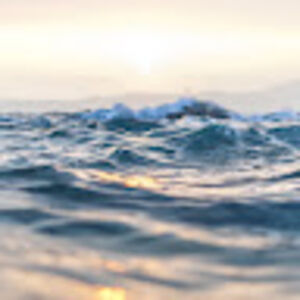 gretchenleach avatar