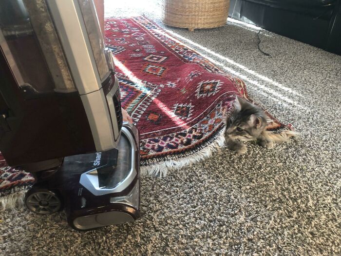 Merlins Technique To Hide From The Vacuum