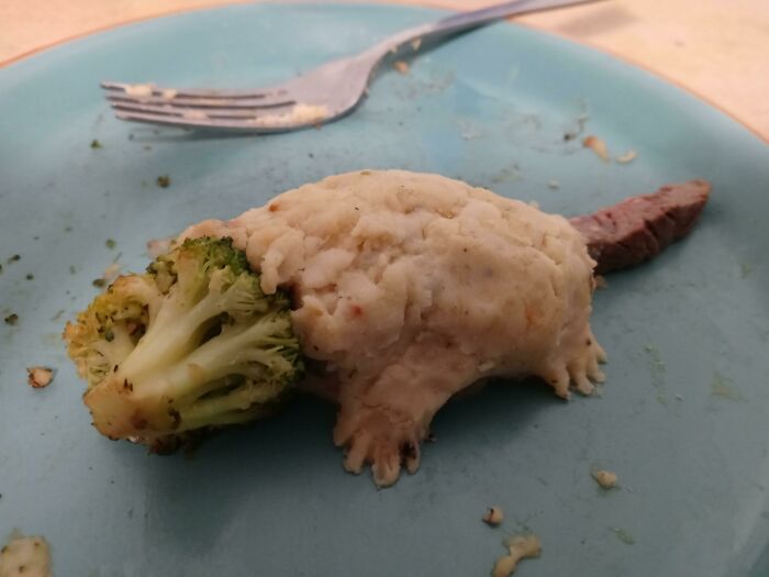 Había un trozo de brócoli en mi plato que me pareció la cara de una zarigüeya, así que lo usé para hacer una pequeña zarigüeya de comida