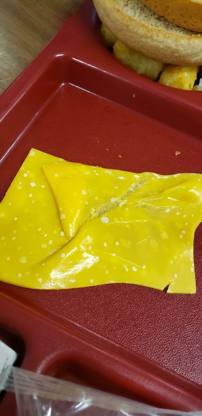 The Cheese They Put On Our School Hamburgers
