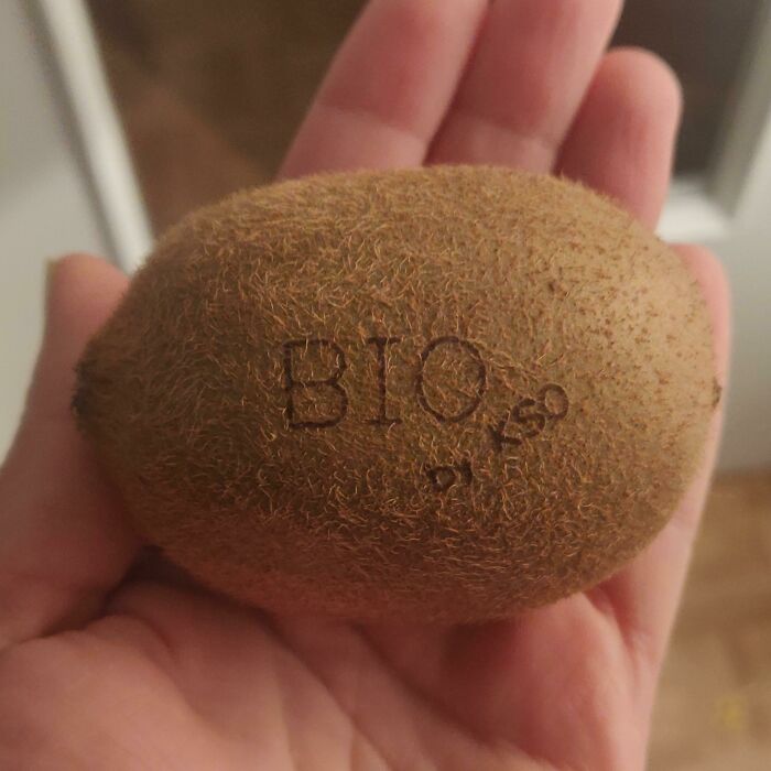 I Love The Fact That These Organic Kiwis Are Branded! No Plastic Stickers, No Waste. Have You Ever Seen Fruits/Veggies Branded Like That? I Wonder If Most Produce Growers Could Do The Same. (I Live In Paris, And These Are Grown "Locally" In The South Of France.)