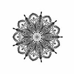 christyparadis avatar