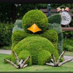 debra_sheehan avatar