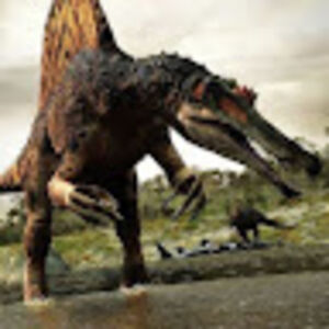 ivanhuppert-antonov avatar