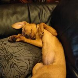 johnbrowning00 avatar