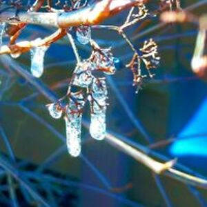 diamondhawk6975_1 avatar