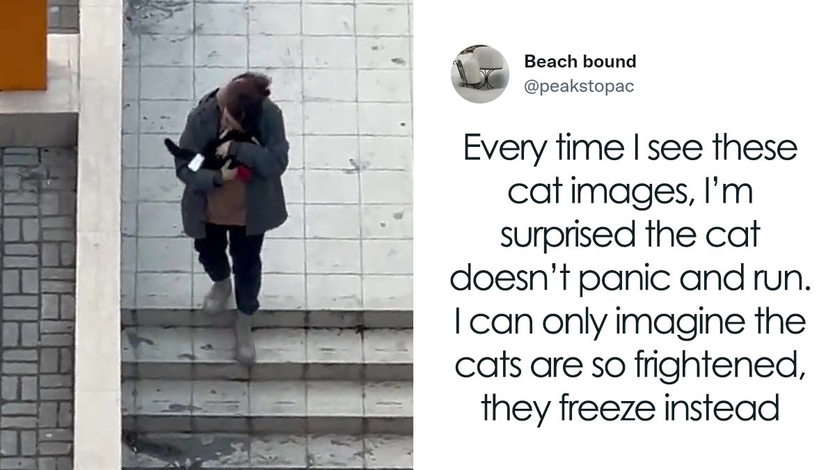 Woman Carries And Comforts Cat Amid Air Raid Sirens Sounding In Kyiv, Ukraine