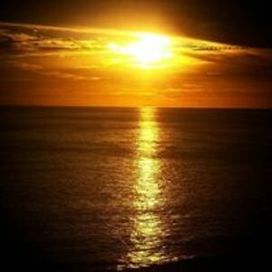 joseph_woodbury avatar