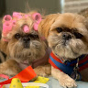 kimberlevespia avatar