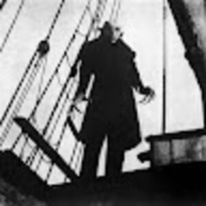 patrickdehertogh avatar