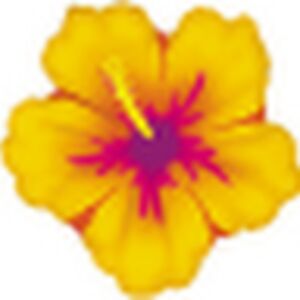 crystalcardenasraulston avatar