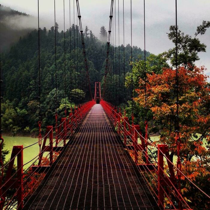 Foto que tomé de un puente colgante en las montañas de Wakayama, Japón