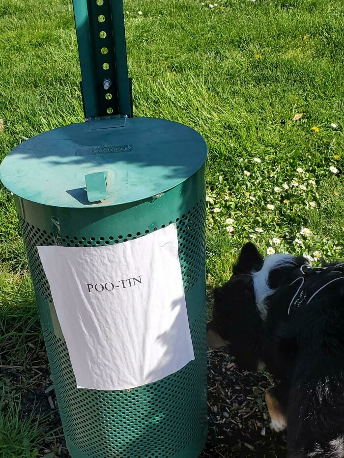 The Poo-Tin At My Local Park