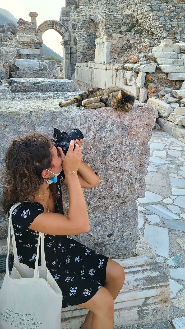 Girlfriend And I Went To The Ruins Of Ephesus In Turkey And There Were More Cats Than People