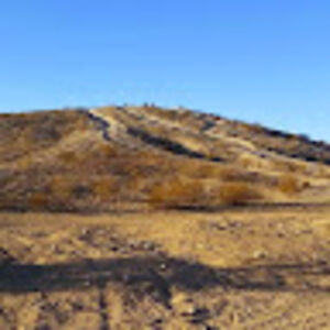 williambeeson avatar