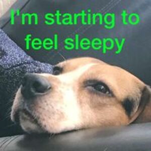 noel_leydon-lewis avatar