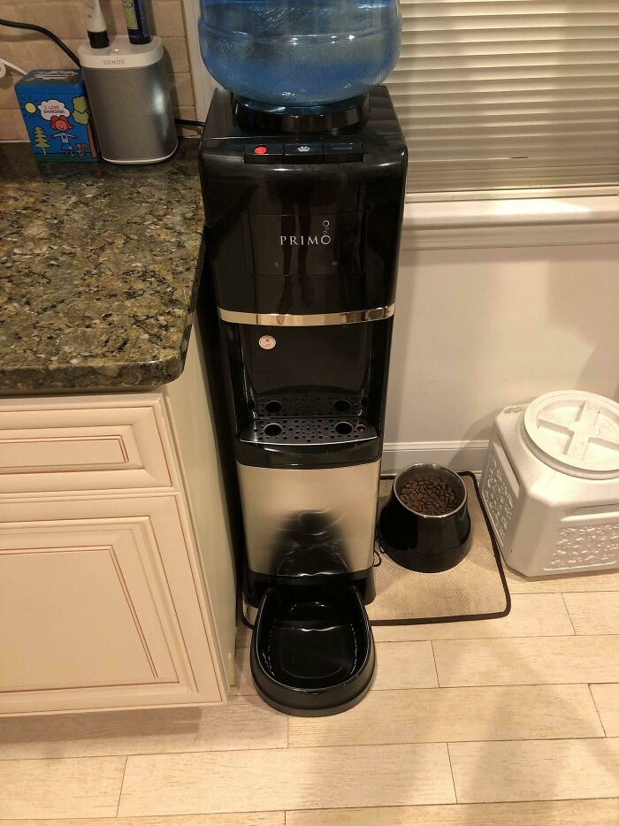 My Water Cooler Has A Built-In Pet Water Bowl