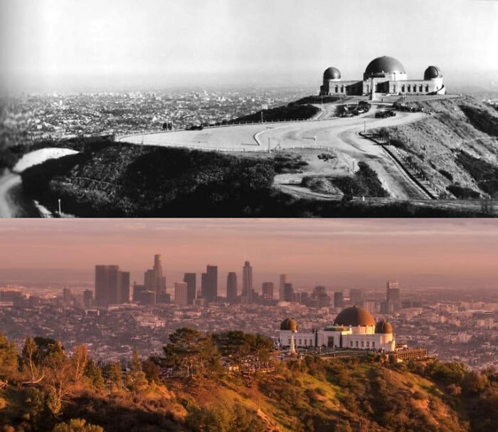 Griffith Park Observatory With The Los Angeles Cityscape In The Background (Ca. 1930s / 2019)