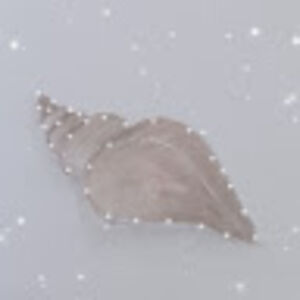 sunflowerarts avatar