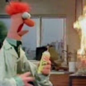 davidschulman avatar