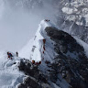 mardigusmadmardigan avatar