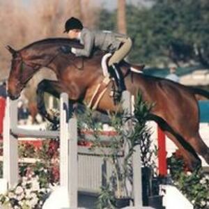 sillyfilly2308 avatar