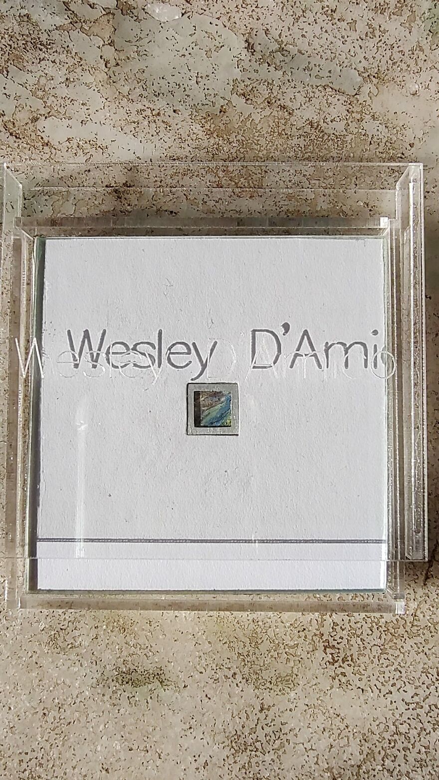 “The Most Expensive Paintings In The World Can Be Smaller Than A Coin.” “The Most Expensive Paintings In The World Can Be Smaller Than A Coin.”