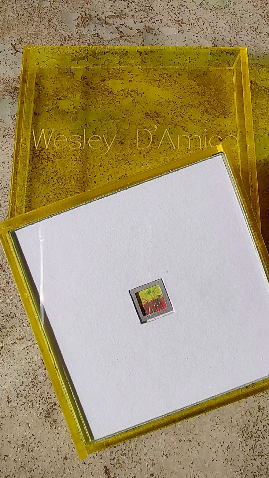 “The Most Expensive Paintings In The World Can Be Smaller Than A Coin.” “The Most Expensive Paintings In The World Can Be Smaller Than A Coin.”