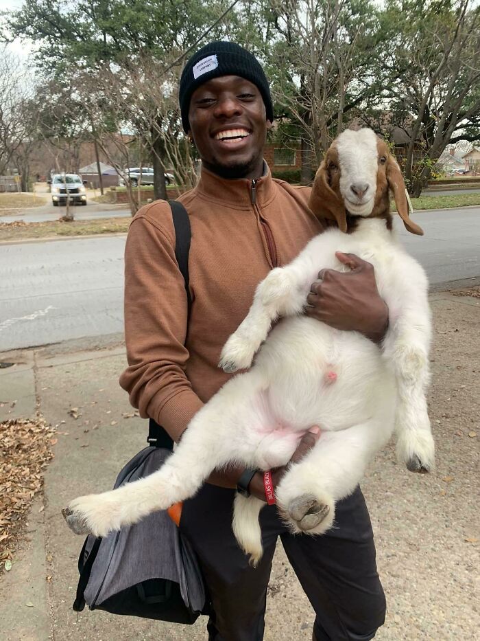 man holding a baby goat in his hands in the street