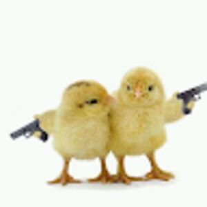 daltonhatfill avatar