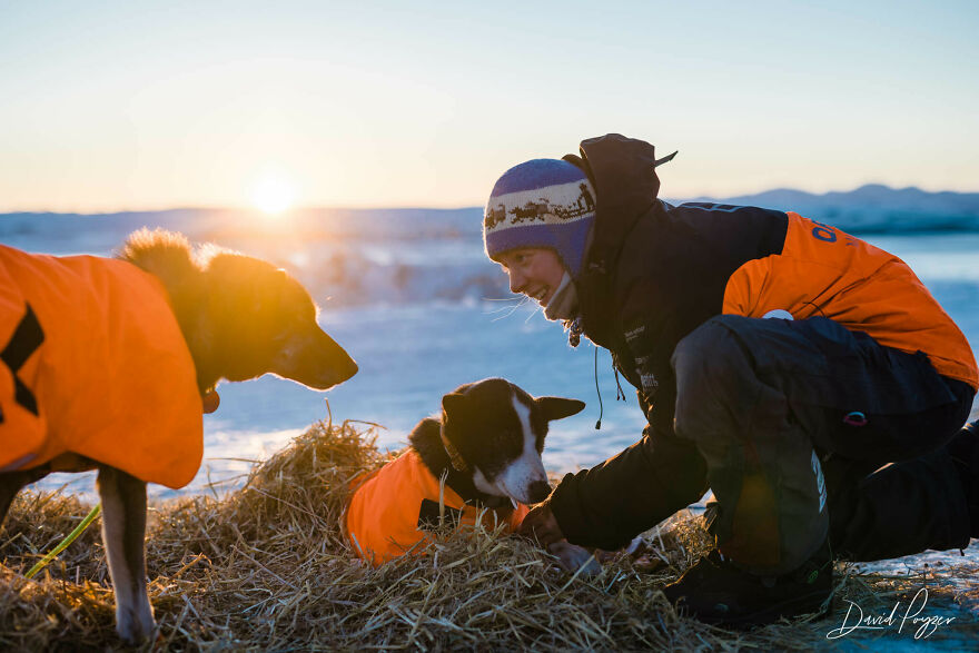 Here Are Some Photos Showing Happy Doggos And Mushers At This Year's Iditarod (12 Pics) Here Are Some Photos Showing Happy Doggos And Mushers At This Year's Iditarod (12 Pics)
