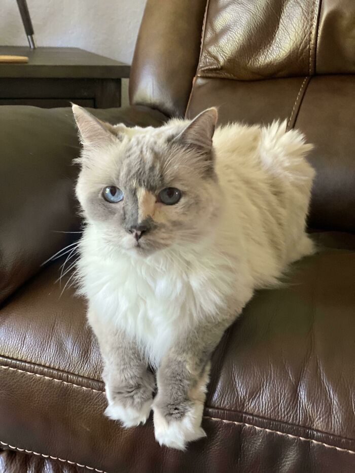 My Fiancé And I Adopted This Sweet 15 Year Old Lady 