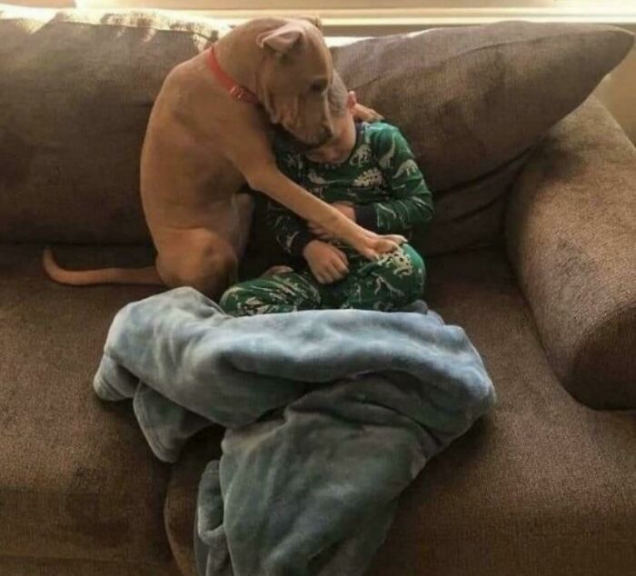La primera fotografía tras adoptar un perro