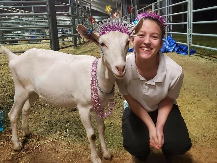 My Daughter Chooses To Celebrate Her Birthday Every Year At The Memorial Day Goat Show. My Wife Always Does Up Her Favorite Goat For The Occassion