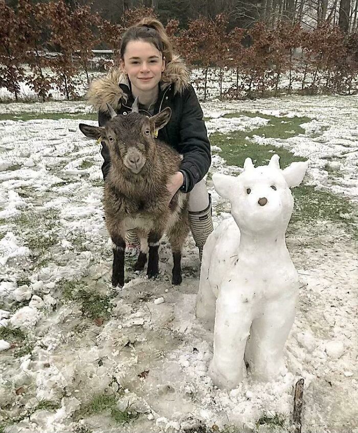 girl with a brown baby goat and snow goat nearby