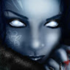 direwolfnation avatar