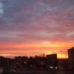 emilievanhove_1 avatar