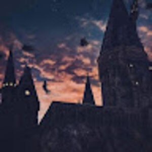 charlottechan avatar