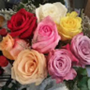 chrystalcarter_1 avatar